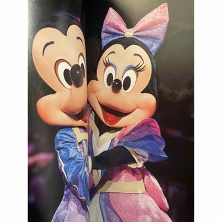 ディズニー(Disney)のディズニーシー バレンタイン・ナイト パンフレット 2015年(ノベルティグッズ)