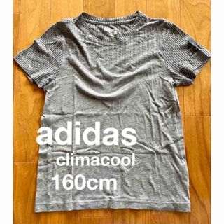 アディダス(adidas)のadidas アディダス climacool 160センチ　Tシャツ(Tシャツ/カットソー)