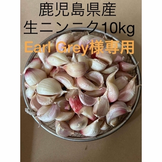 生ニンニク10kg  鹿児島県産(野菜)