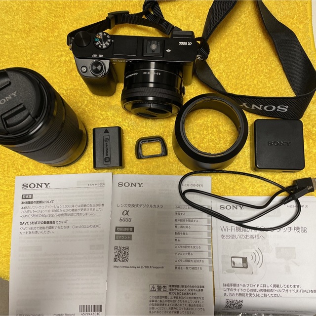 SONY α6000ダブルズームキット 安価 stockshoes.co