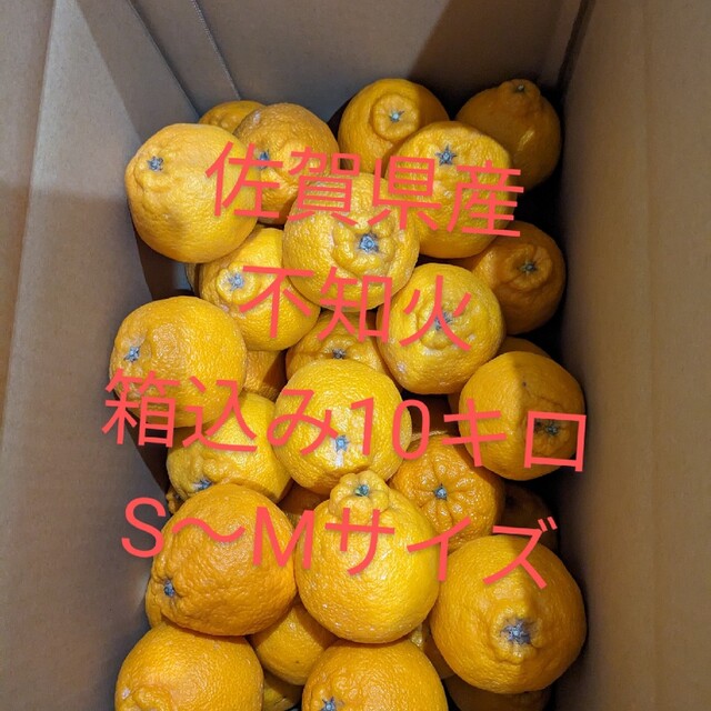 佐賀県産不知火10キロ