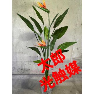 光触媒　人工観葉植物　ウォールグリーン　フェイクグリーン　ストレッチア極楽鳥2輪(置物)