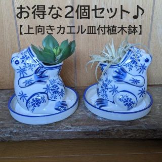 【上向きカエル植木鉢お得な2個セット】　受け皿付　蛙　植木鉢　陶器　青花(プランター)