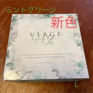 ヴィアージュ(VIAGE)のviage ヴィアージュ ビューティーアップナイトブラ　ミントグリーン　L(ブラ)