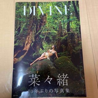 菜々緒　ＤＩＶＩＮＥ【写真集】(アート/エンタメ)