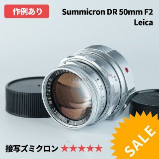 SALE!Leica DR Summicron 50mm F2 オールドレンズ smcint.com