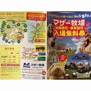 マザー牧場　園児　入場無料　大人割引(動物園)