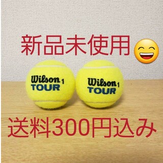 ウィルソン(wilson)の新品未使用　硬式　テニスボール(バッグ)