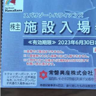 ハワイアンズ入場券１枚(遊園地/テーマパーク)