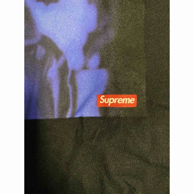 Supreme(シュプリーム)のSupreme America Eats Its Young Tシャツ　サイズL メンズのトップス(Tシャツ/カットソー(半袖/袖なし))の商品写真