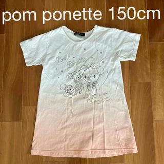 ポンポネット(pom ponette)のpom ponette Tシャツ 150cm(Tシャツ/カットソー)