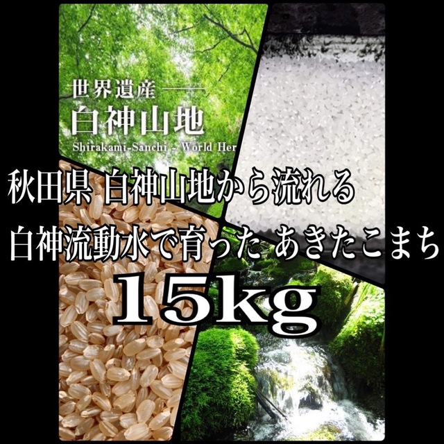 令和４年 秋田県産 新米 あきたこまち１５kg 特別栽培米 有機米 無洗米も対応食品/飲料/酒