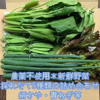 特別価格✨農薬不使用＊新鮮野菜＊採れたて5種類の詰め合わせ＊野菜セット＊ネコポス(野菜)