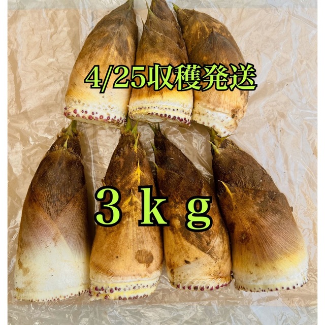 千葉県産無農薬たけのこ3kg 4/25収穫発送 食品/飲料/酒の食品(野菜)の商品写真