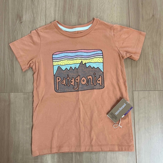 patagonia(パタゴニア)のmaru 様専用⭐︎パタゴニア5T・2点セット キッズ/ベビー/マタニティのキッズ服男の子用(90cm~)(ジャケット/上着)の商品写真