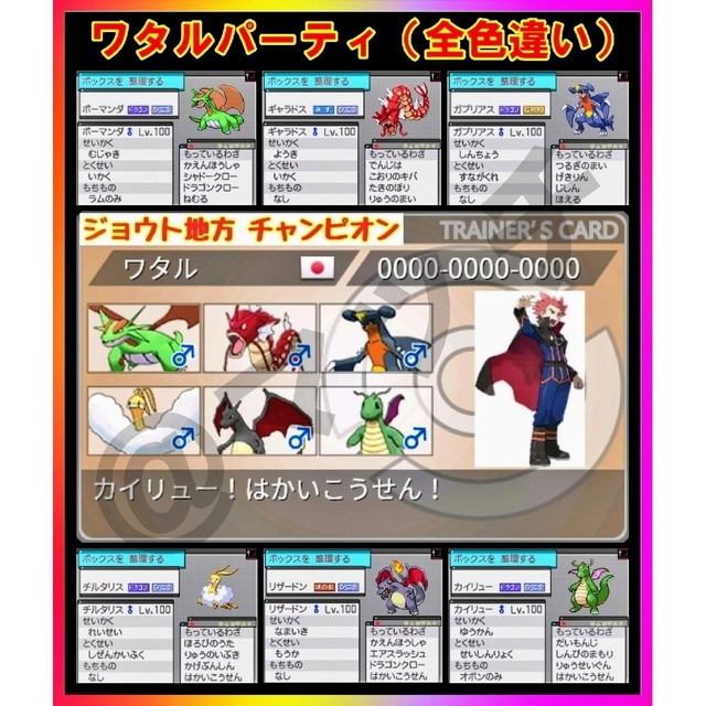 【DS ソフト】ポケットモンスター ホワイト（ソフトのみ）歴代チャンピオン！