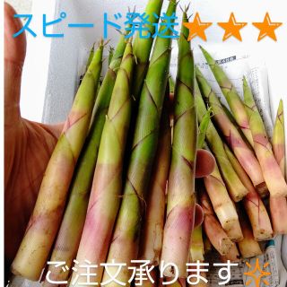 青森産 天然根曲がり竹 １kg(野菜)