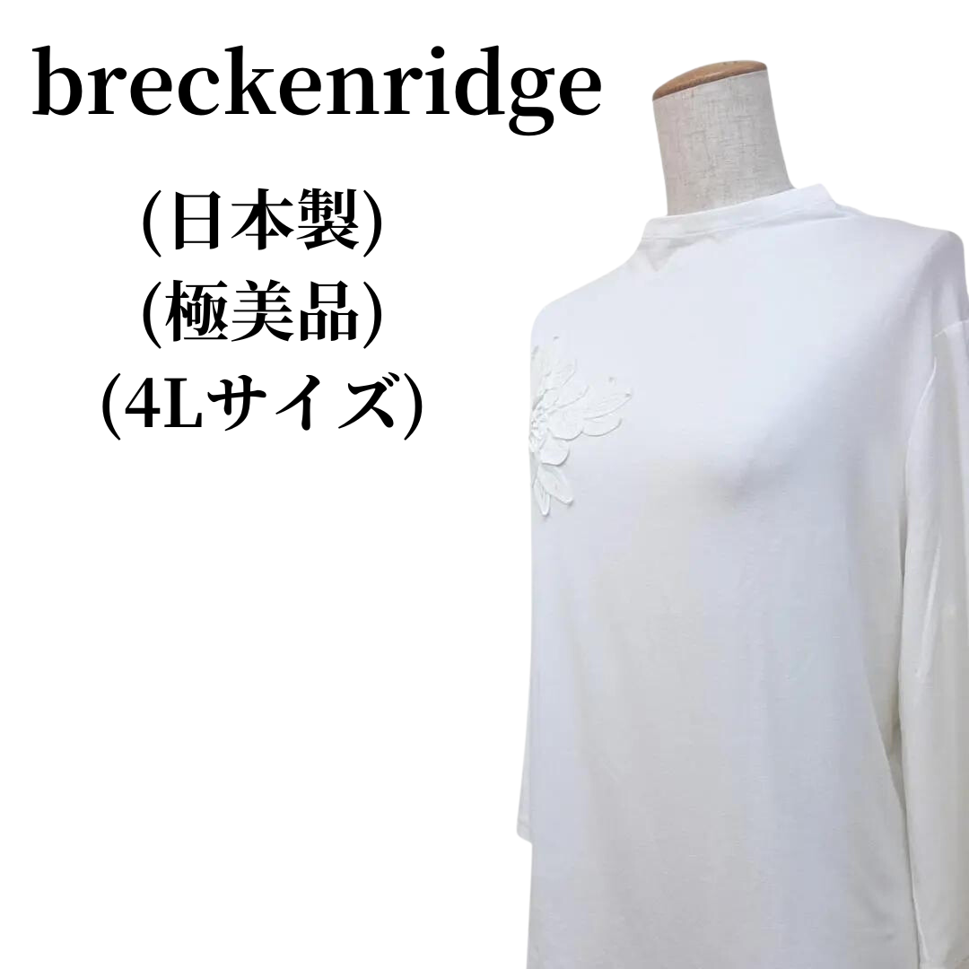 breckenridge ブレッケンリッジ カットソー 匿名配送 レディースのトップス(カットソー(長袖/七分))の商品写真