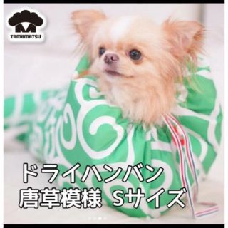 犬　シャンプー　乾燥　ドライヤー　ドライハンバン(犬)