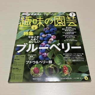 NHK 趣味の園芸 2017年7月号　特集ブルーベリー(専門誌)
