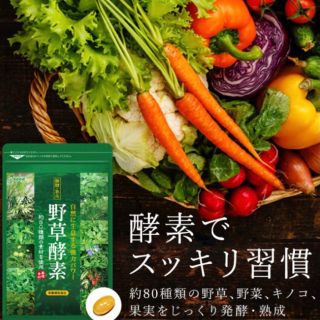 野草酵素 野菜酵素 サプリメント約3ヵ月分 やさい酵素 美容 ダイエット  (その他)