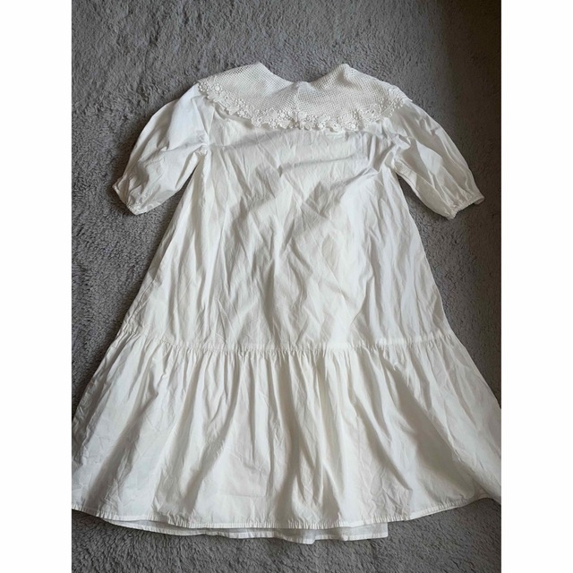 ZARA(ザラ)のZARA ビッグレース襟　ブラウス　ホワイト レディースのトップス(シャツ/ブラウス(半袖/袖なし))の商品写真