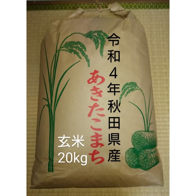 玄米２０kg　農家直送　あきたこまち　令和４年秋田県仙北産　米/穀物