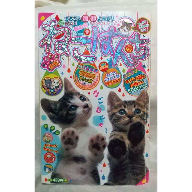 【タイムセール！】　９３（雨の日号）　ねこぱんち　10200円