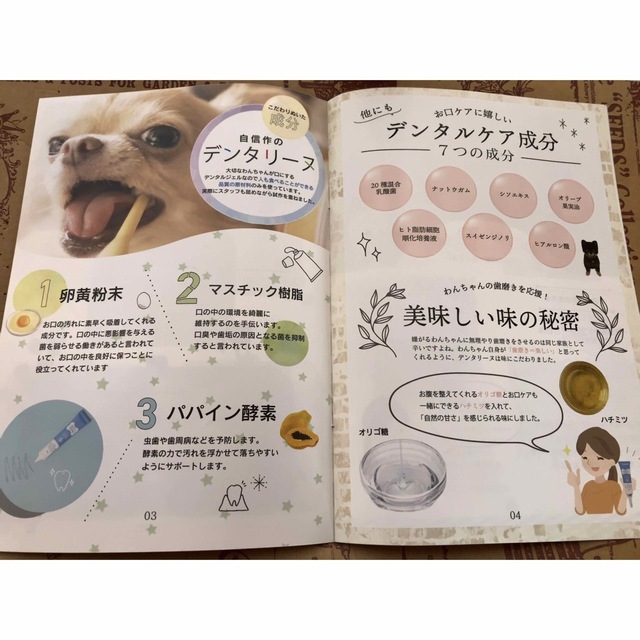 デンタリーヌ　犬用歯磨きジェル26g