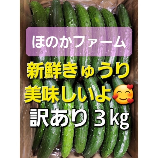 農家直送新鮮野菜訳ありきゅうり