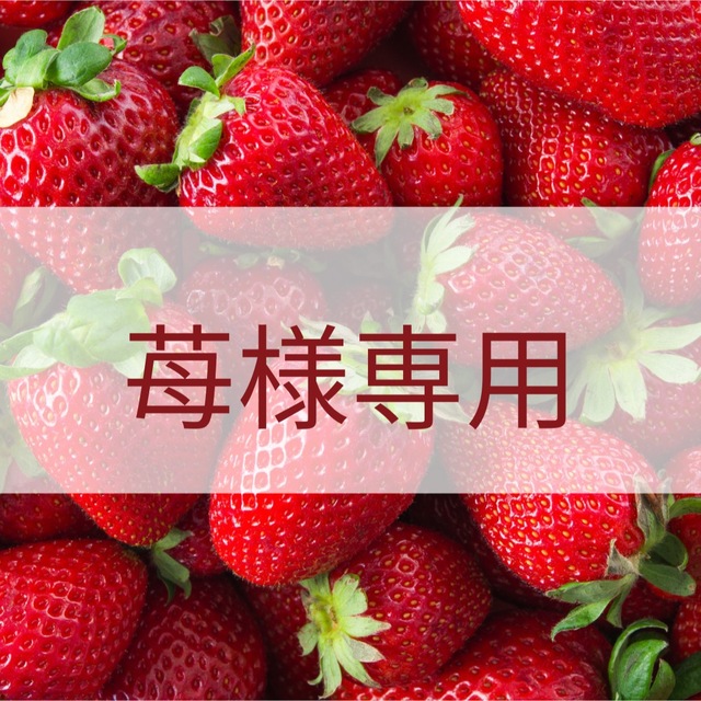 苺様専用ページ 食品/飲料/酒の健康食品(プロテイン)の商品写真