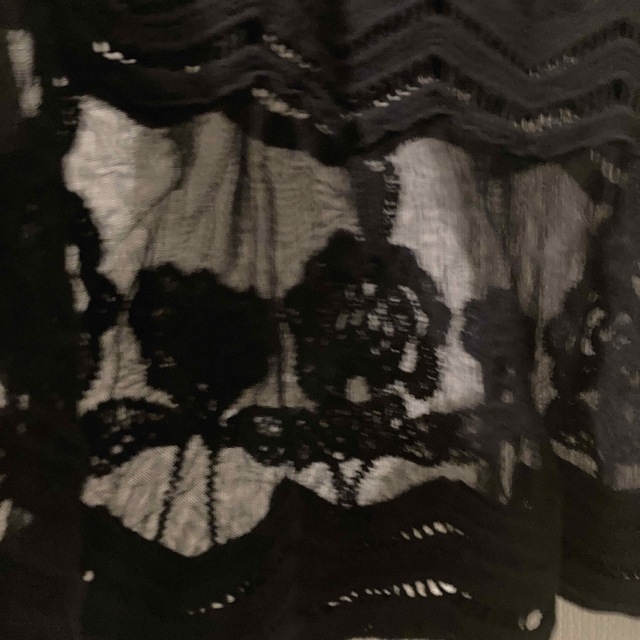 COCUE(コキュ)のコキュ　レディースブラウス　レース刺繍花柄 レディースのトップス(シャツ/ブラウス(長袖/七分))の商品写真