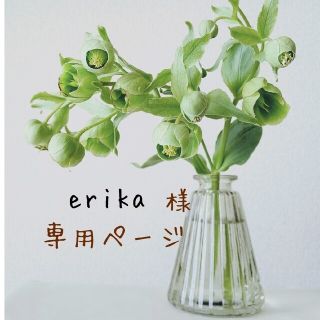 erika様専用★ドライフラワー スワッグ 大⑦(ドライフラワー)