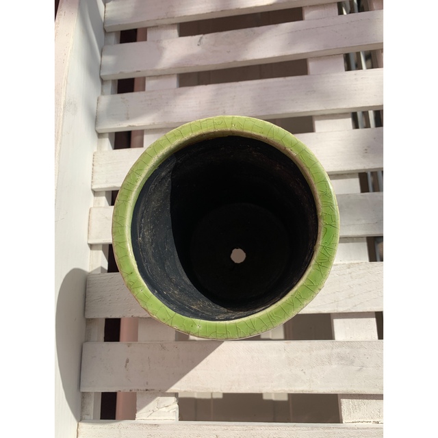 ダルトン Botany 植木鉢 ライムグリーン 受皿付き  ハンドメイドのフラワー/ガーデン(プランター)の商品写真