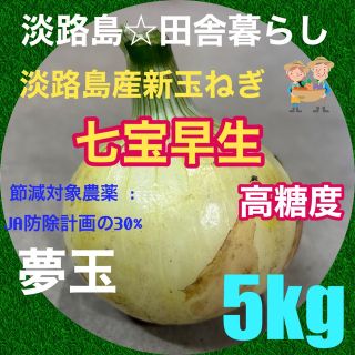 淡路島産新玉ねぎ5kg 七宝早生 高糖度 節減対象農薬：JA防除計画の30%(野菜)