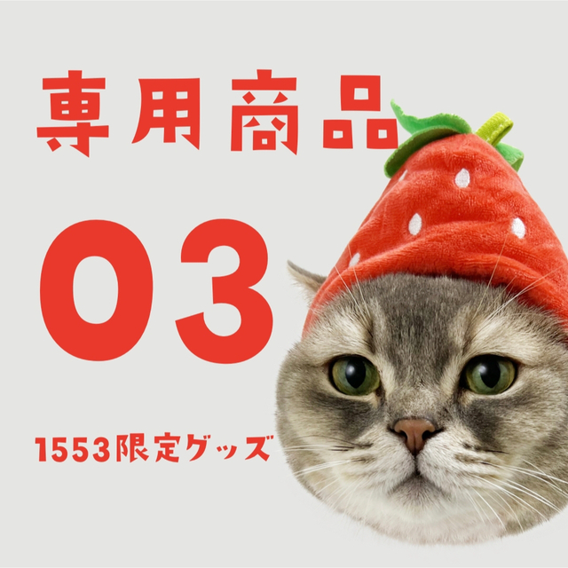 1周年記念グッズ03 エンタメ/ホビーのおもちゃ/ぬいぐるみ(キャラクターグッズ)の商品写真
