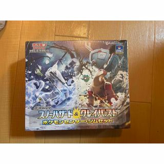 ポケモンカードゲーム ジムセット スノーハザード＆クレイバースト ナンジャモ(Box/デッキ/パック)