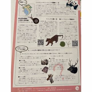 専用 シャオシャオ・レイレイ シャンシャンの通販 by すずらん's shop