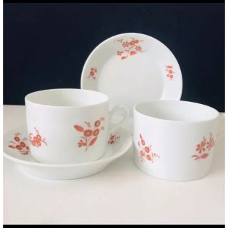 リチャードジノリ(Richard Ginori)のリチャードジノリ　アンシェント　レッド　2客セット(食器)