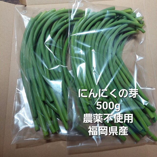 にんにくの芽　500g　農薬不使用　ネコポスト 食品/飲料/酒の食品(野菜)の商品写真