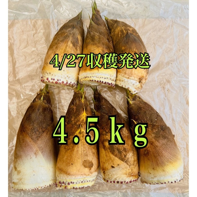 千葉県産無農薬たけのこ4.5kg 4/27収穫発送 食品/飲料/酒の食品(野菜)の商品写真