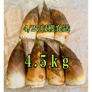 千葉県産無農薬たけのこ4.5kg 4/27収穫発送(野菜)