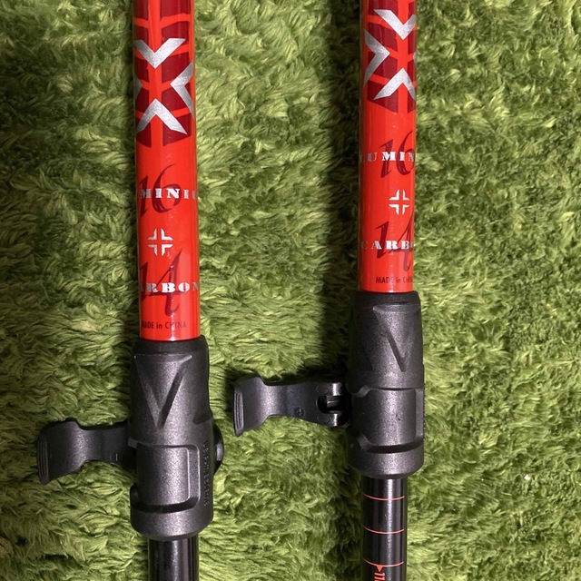 ロシニョール スーパーヴィラージュⅣ +シナノ スキーポール