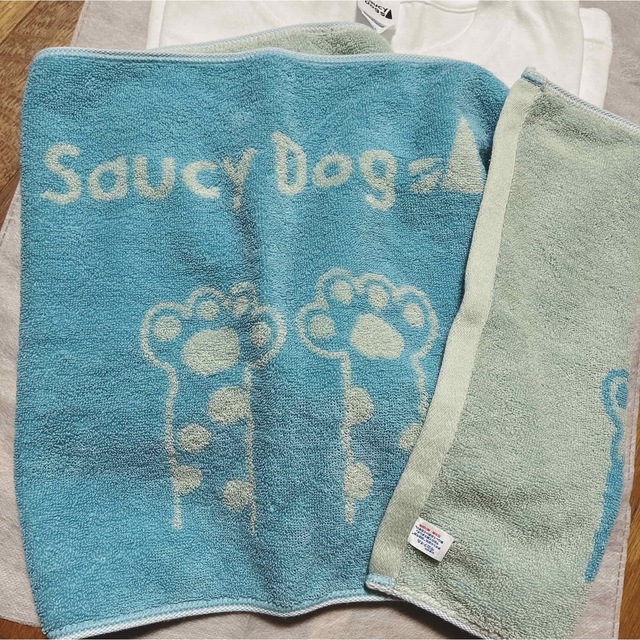 Saucy Dog Tシャツ、タオル メンズのトップス(Tシャツ/カットソー(半袖/袖なし))の商品写真