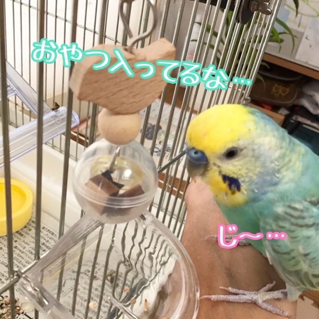 フォージングゆらゆら★インコや文鳥の小鳥のハンドメイドおもちゃ　バードトイ ハンドメイドのペット(おもちゃ/ペット小物)の商品写真