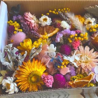 オンラインストア人気 ドライフラワー花材 ヘリクリサム ミモザ ハー