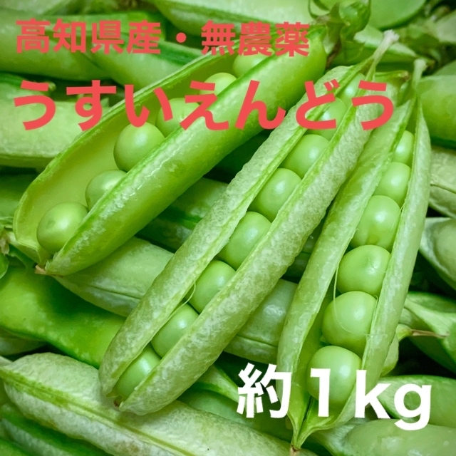 うすいえんどう 約１キロ 1kg えんどう豆 碓井豌豆 エンドウマメ 食品/飲料/酒の食品(野菜)の商品写真