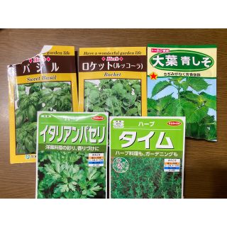 ハーブ　種　5種セット(野菜)