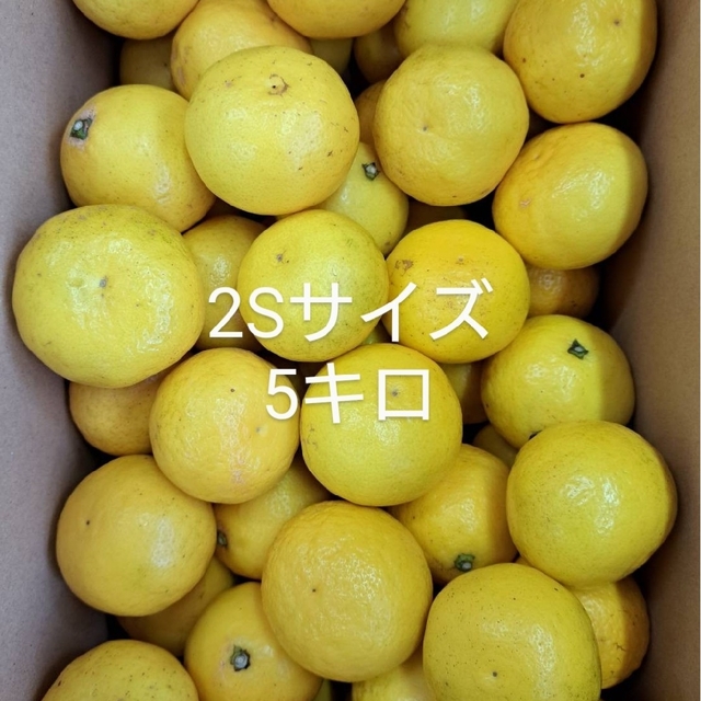 地元果物屋おすすめ高知宿毛産すくも小夏2Sサイズ5キロ日向夏/味良い※一部送料込の通販 by ナオ's shop|ラクマ