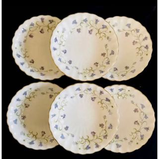 エインズレイ(Aynsley China)のスポード  カンダベリー　ボウル　６個セット(食器)